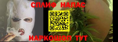сатива Можга