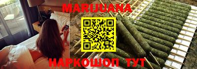 сатива Можга