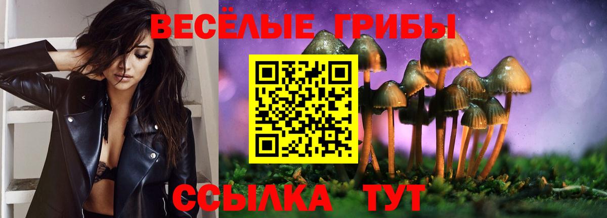 Псилоцибиновые грибы Psilocybe  Вход с VPN  Псилоцибиновые грибы прущие грибы  Сланцы 